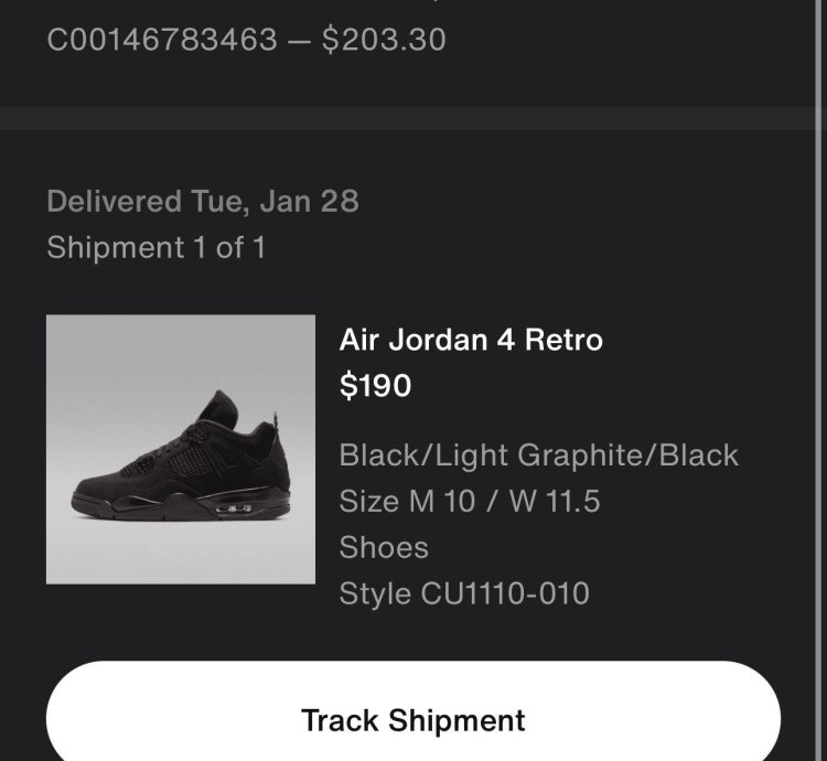 Air Jordan 4 Black Cats 2020