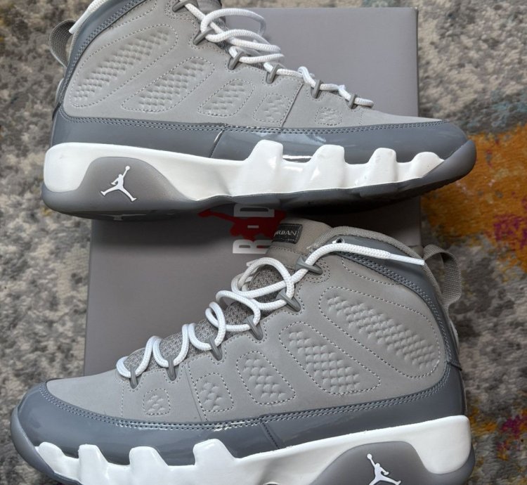 Air Jordan 9 Cool Grey Size 10