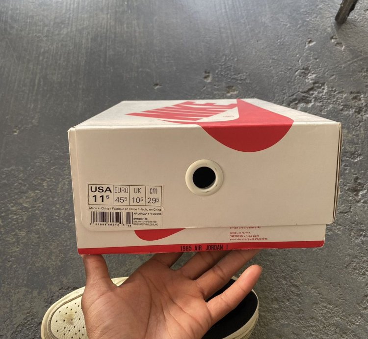 Air Jordan Retro 1 Nigel Sylvester