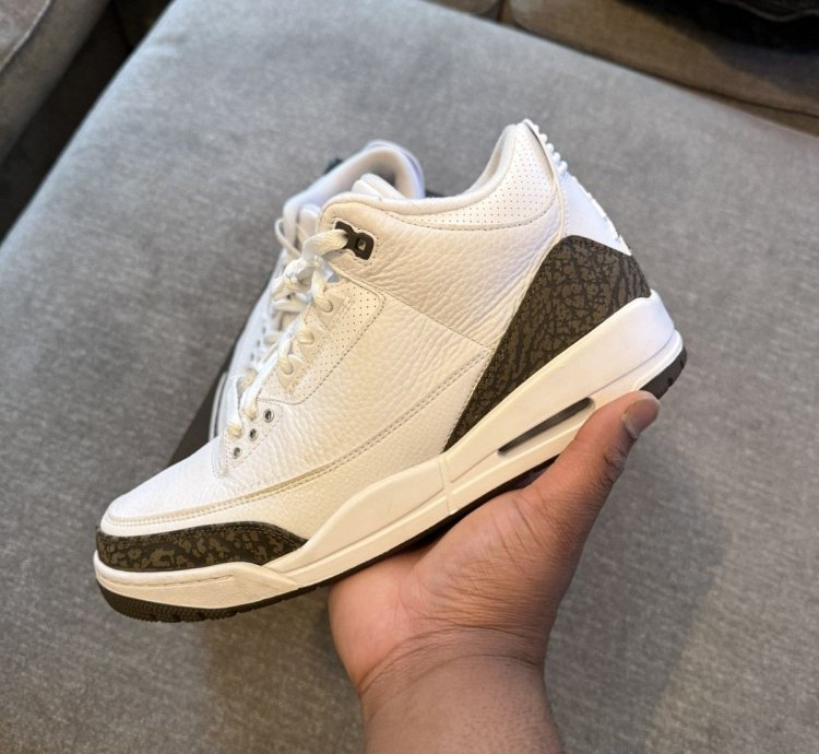 Air Jordan Retro 3 Mocha 2018