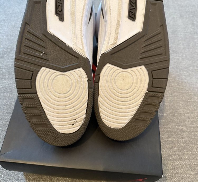 Air Jordan Retro 3 Mocha 2018