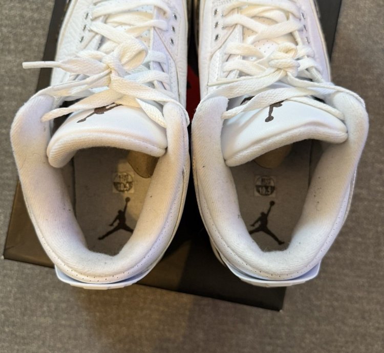 Air Jordan Retro 3 Mocha 2018