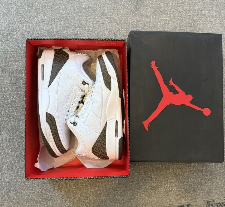 Air Jordan Retro 3 Mocha 2018