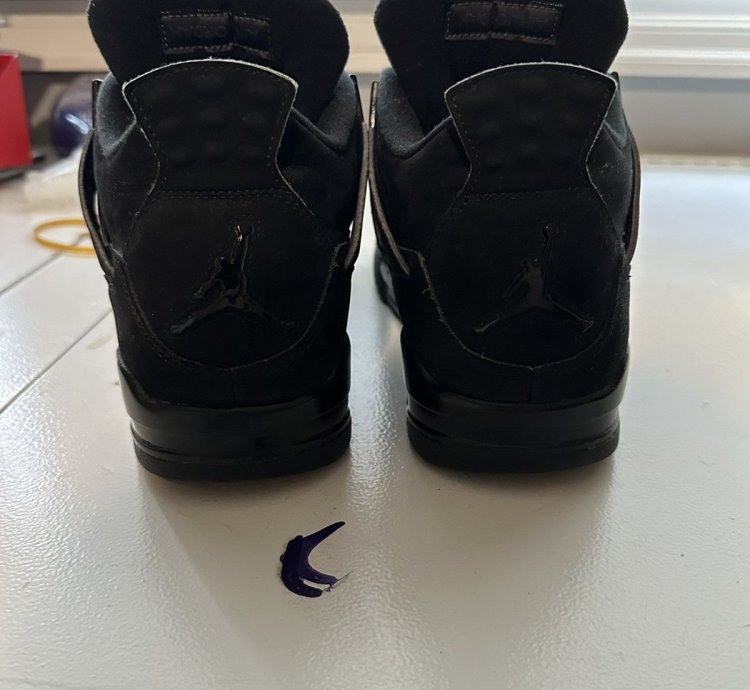 Black Cat 4