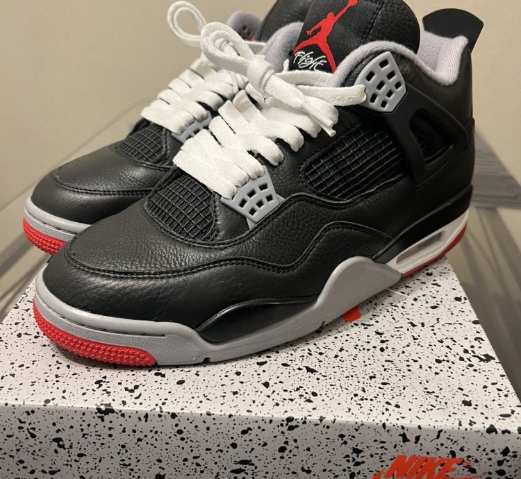 Bred Reimagined 2024