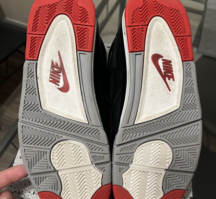 Bred Reimagined 2024