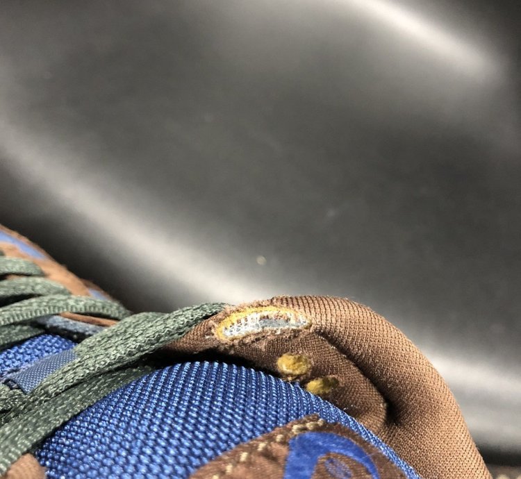 Dunk Low Pro Sb Barf 2003