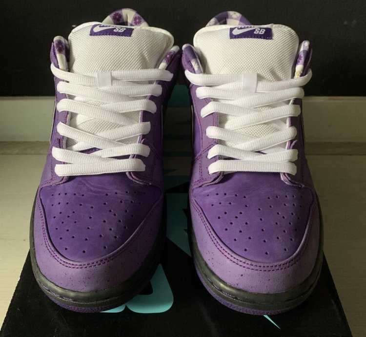 Final Drop Nike Sb Dunk Low Concepts Purple Lobster Us10 5