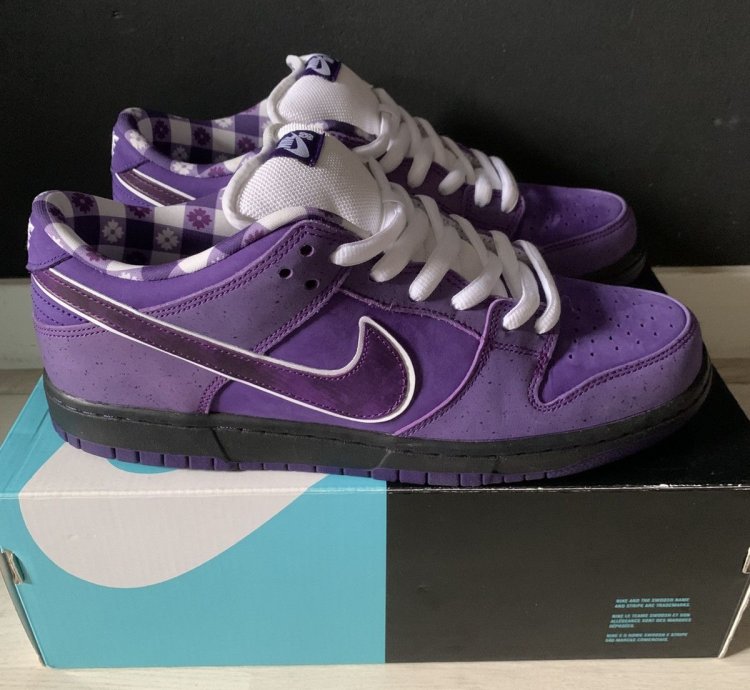 Final Drop Nike Sb Dunk Low Concepts Purple Lobster Us10 5