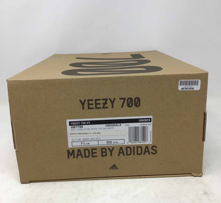 Yeezy 700 V3 Alvah