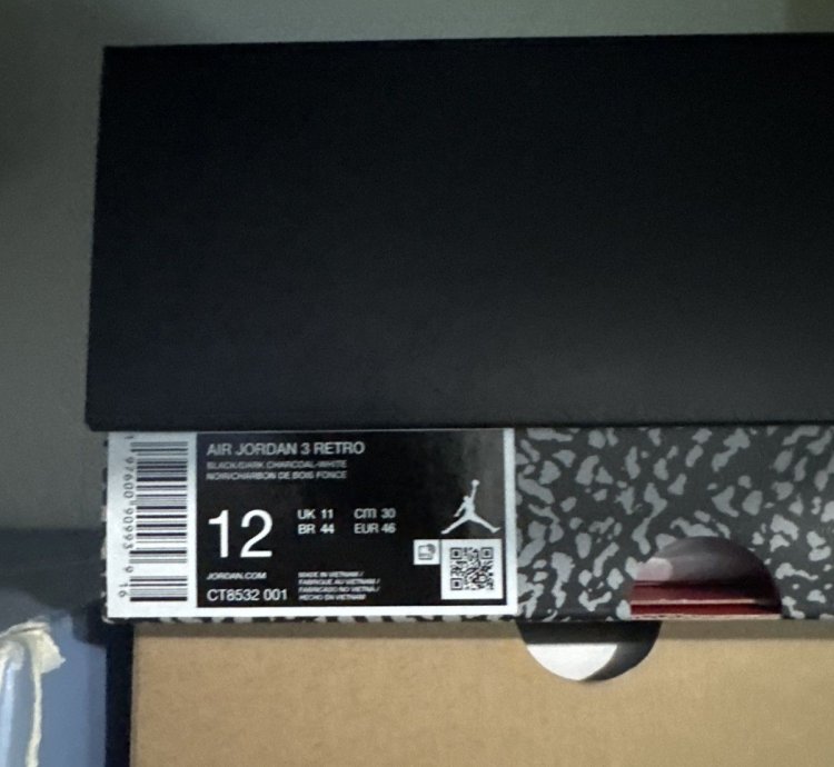 Jordan 3 Black Cat
