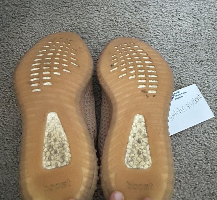 Yeezy 350 Clay