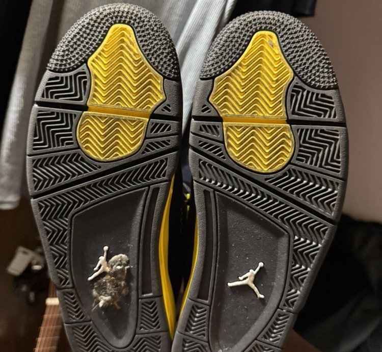 Jordan 4 Thunder
