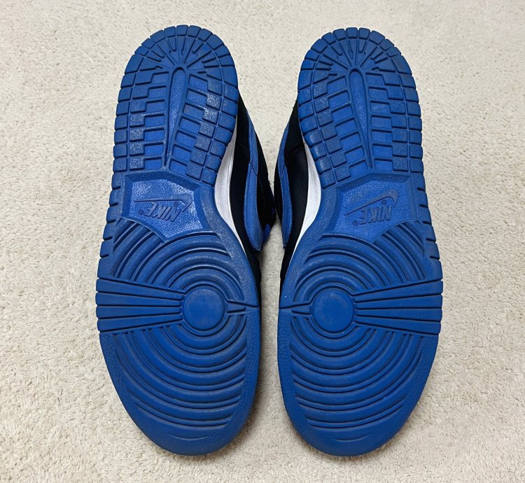 Nike 2005 Sb Dunk Low Pro Pack Royal Blue