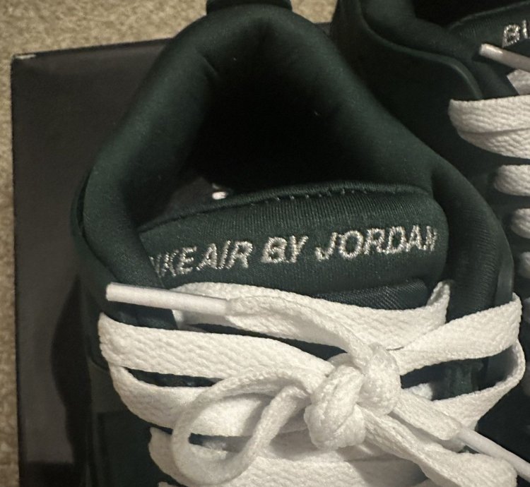 Nike Air Jordan 4 Low Nigel Sylvester Bike Air