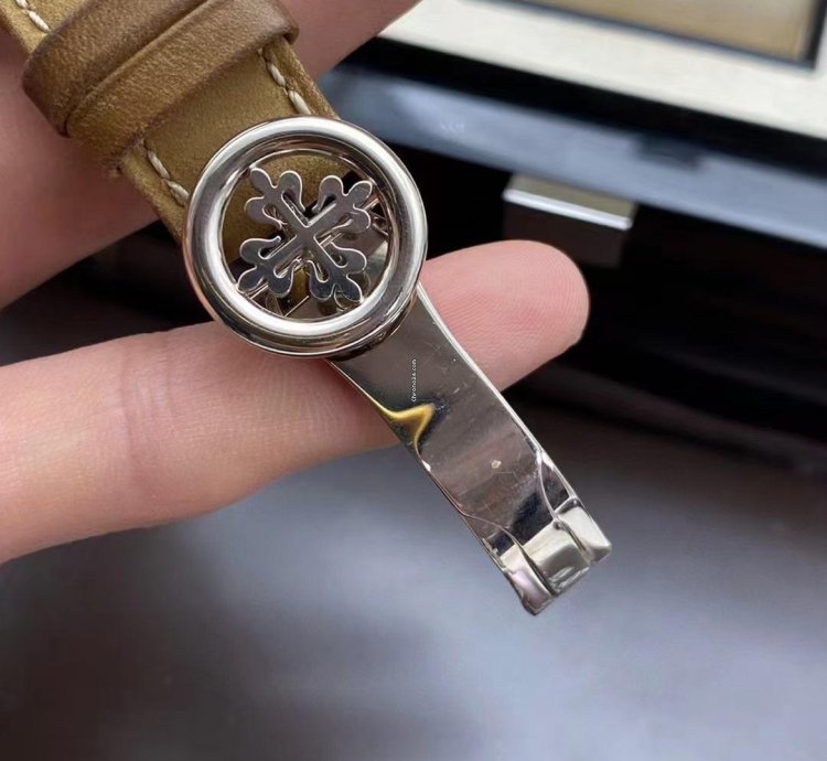 Patek Philippe Annual Calendar Travel Time Complications