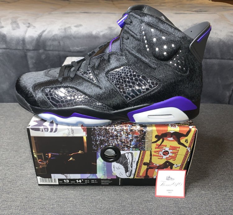 Nike Air Jordan 6 Retro Sp Social Status Men 13 Ar2257-005