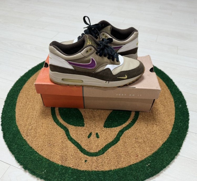 Nike Air Max 1 Viotech