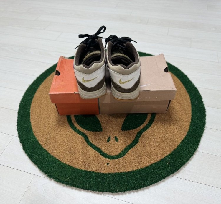 Nike Air Max 1 Viotech
