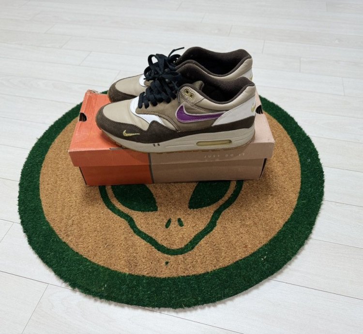 Nike Air Max 1 Viotech