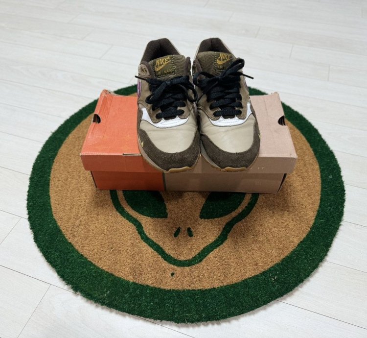 Nike Air Max 1 Viotech