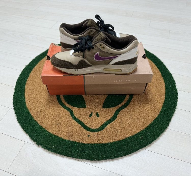 Nike Air Max 1 Viotech