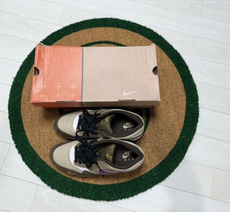 Nike Air Max 1 Viotech
