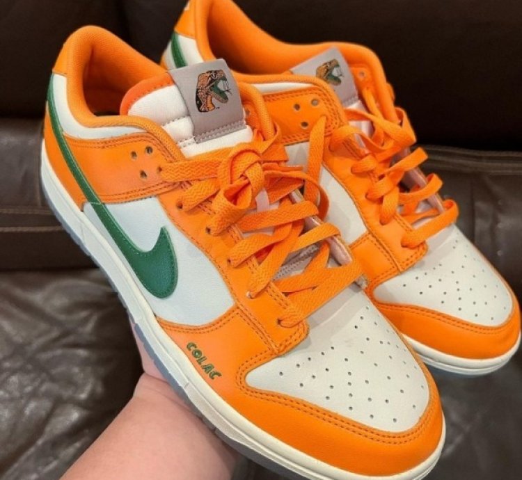 Famu X Nik E Dunk Low Florida A M Sneakers