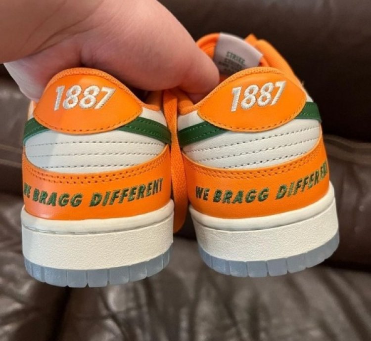 Famu X Nik E Dunk Low Florida A M Sneakers