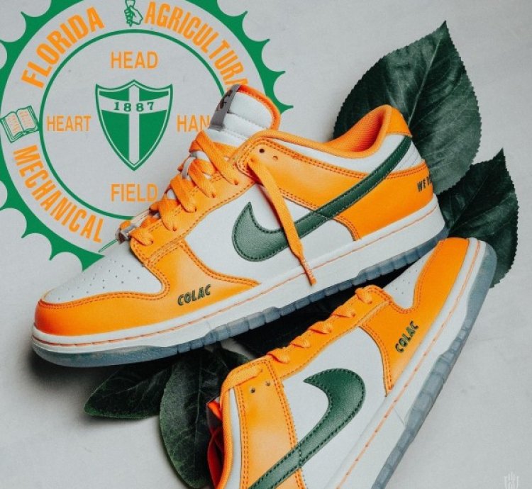 Famu X Nik E Dunk Low Florida A M Sneakers