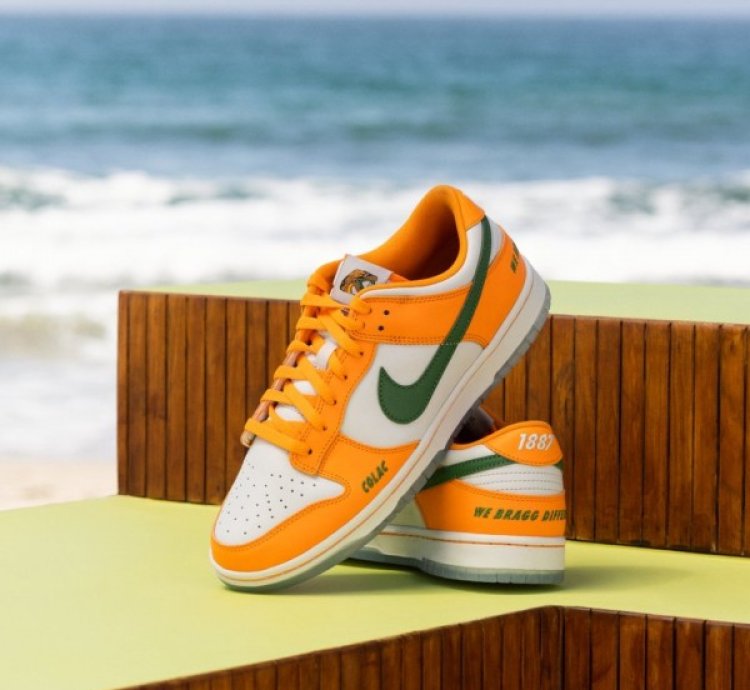 Famu X Nik E Dunk Low Florida A M Sneakers