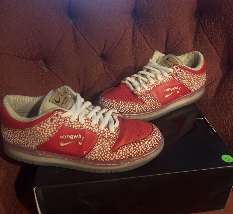 Stingwater Magic Mushroom Sb Dunk Low