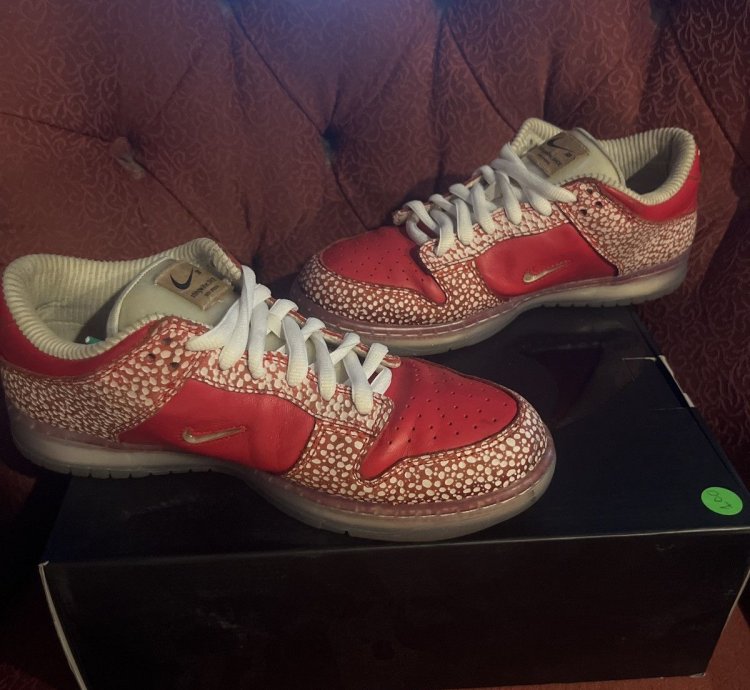 Stingwater Magic Mushroom Sb Dunk Low