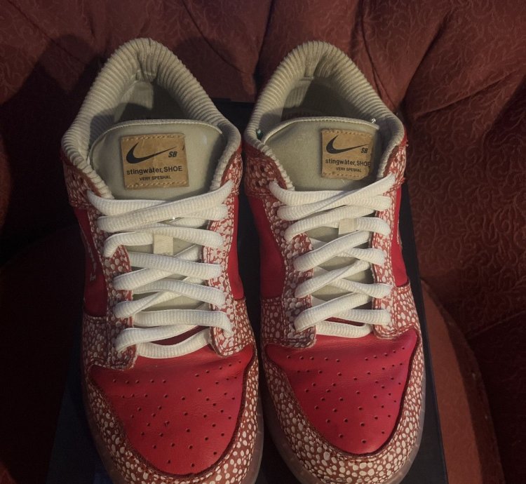 Stingwater Magic Mushroom Sb Dunk Low