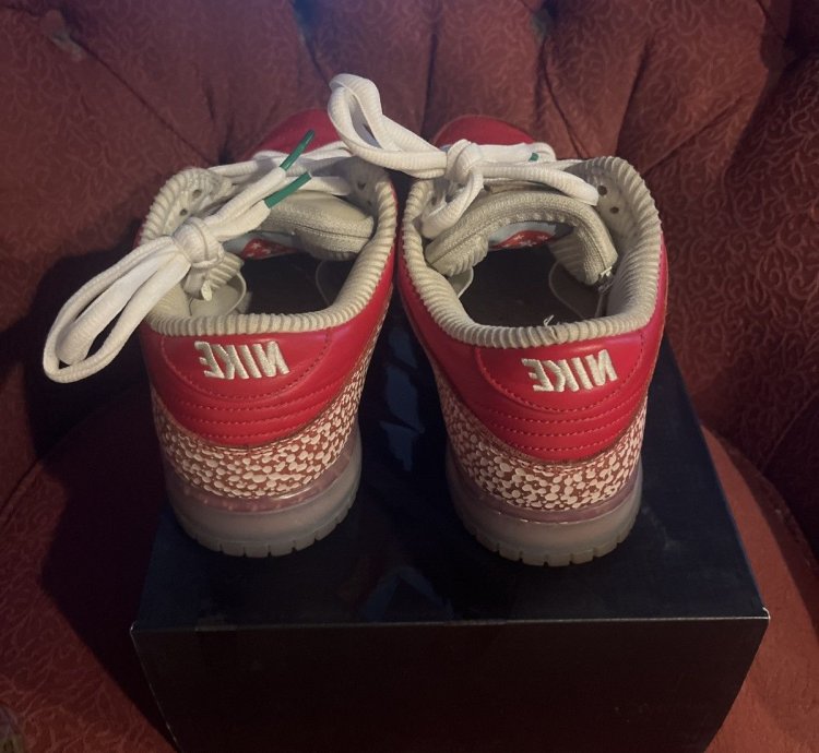 Stingwater Magic Mushroom Sb Dunk Low