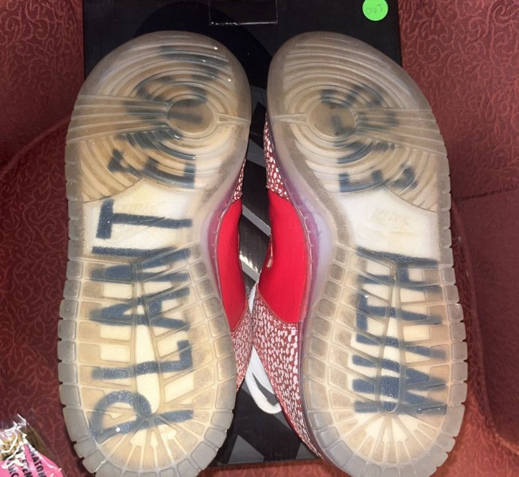 Stingwater Magic Mushroom Sb Dunk Low