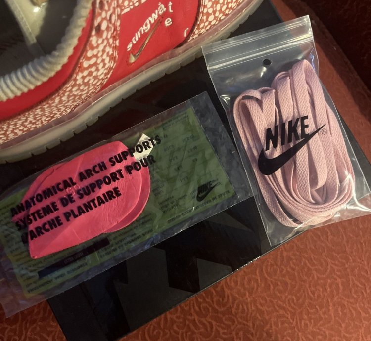 Stingwater Magic Mushroom Sb Dunk Low