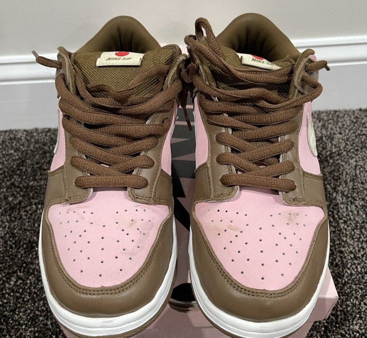 Stussy Nike Sb Dunk Low Pro Cherry 2005