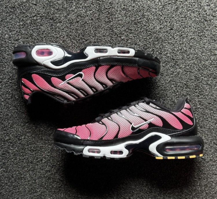 Sunset Pulse 2024 Nike Air Max Plus Tn