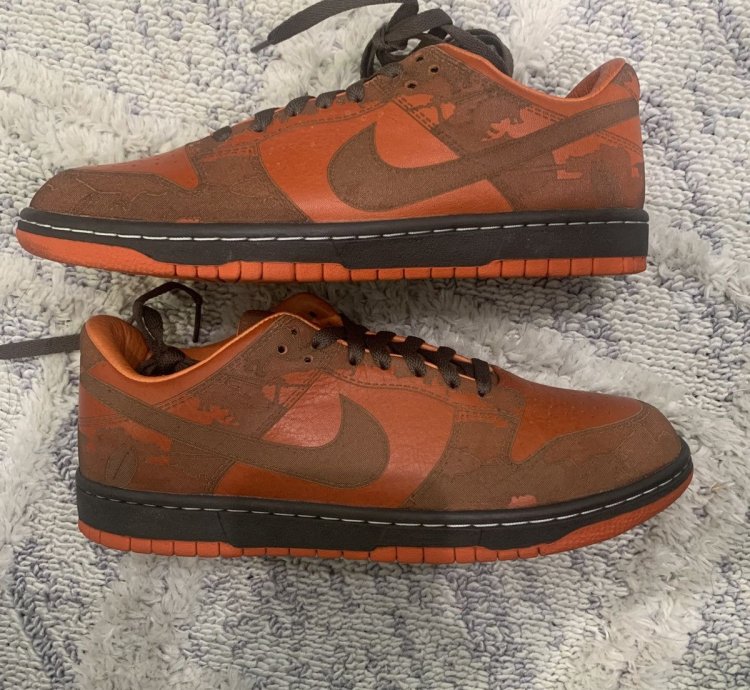 Super Rare Nike Dunk Low 1 Piece