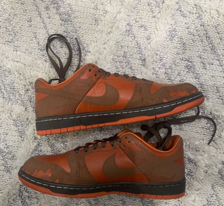 Super Rare Nike Dunk Low 1 Piece