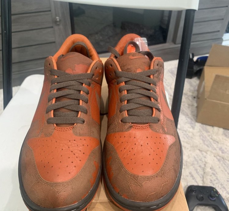 Super Rare Nike Dunk Low 1 Piece