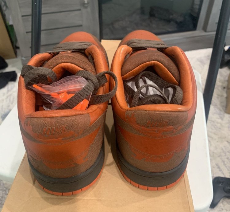 Super Rare Nike Dunk Low 1 Piece