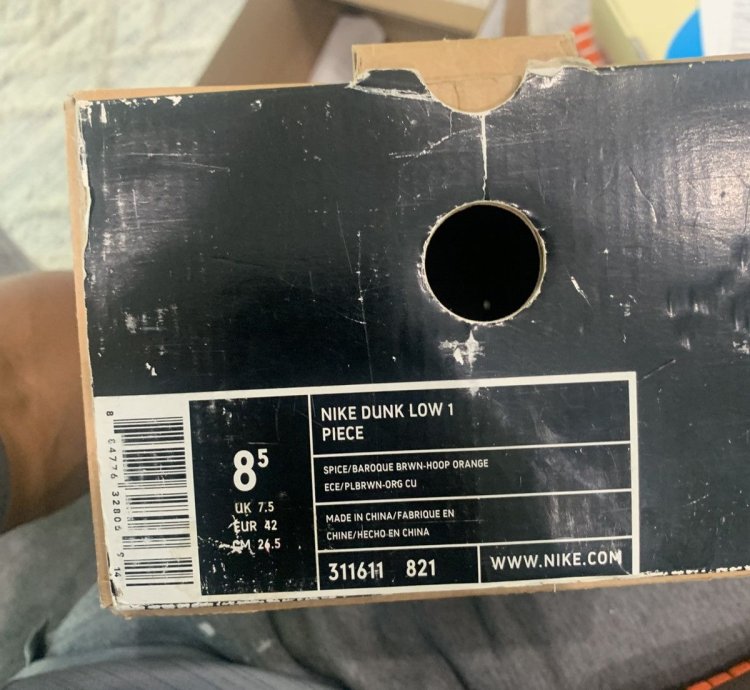 Super Rare Nike Dunk Low 1 Piece