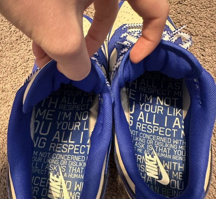 Nike Dunk Low Jackie Robinson