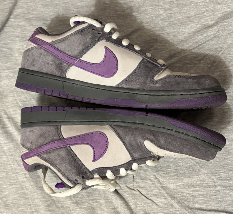 Nike Dunk Low Pro Sb Purple Pigeon 2006