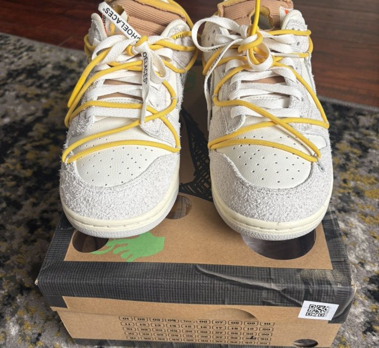 Nike Dunk Off White Lot 39