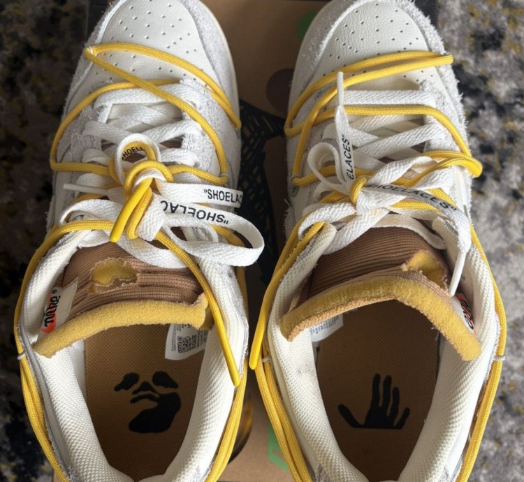 Nike Dunk Off White Lot 39