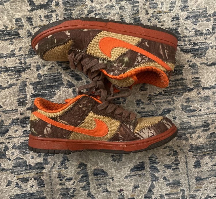 Nike Dunk Sb Hunter