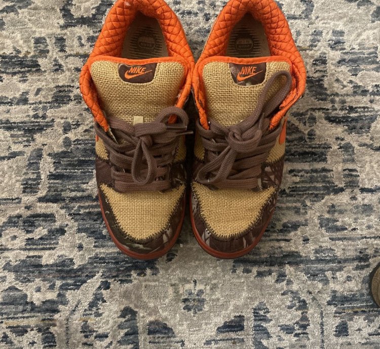 Nike Dunk Sb Hunter